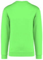 PS_K474-B_APPLEGREEN