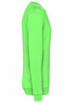 PS_K474-S_APPLEGREEN