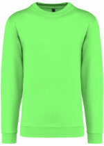 PS_K474_APPLEGREEN