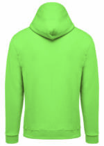 PS_K476-B_APPLEGREEN