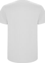 p_6681_01_2_1_Stafford